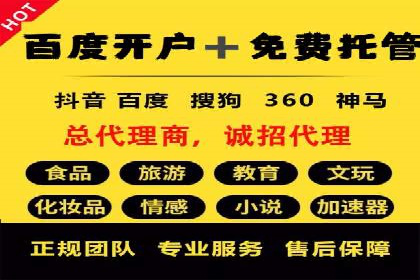 sem推广竞价策略的五大要点及成功案例解读